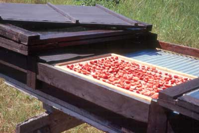 open solar food dryer
