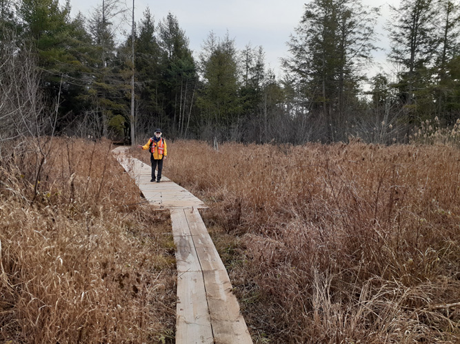 boardwalks at the Escanaba Pathway